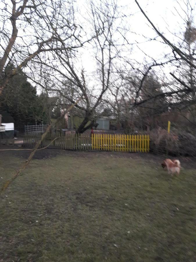 Hundefreundliches Zimmer Wustermark Extérieur photo